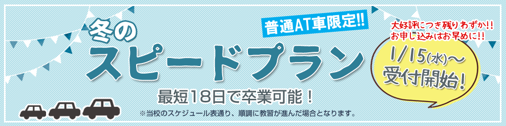 スピードプラン