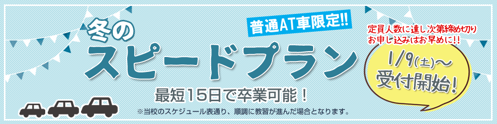 スピードプラン