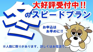 キャンペーン